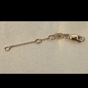 Like new 14k gold filled enewton 2 inch extender. Retails for $22